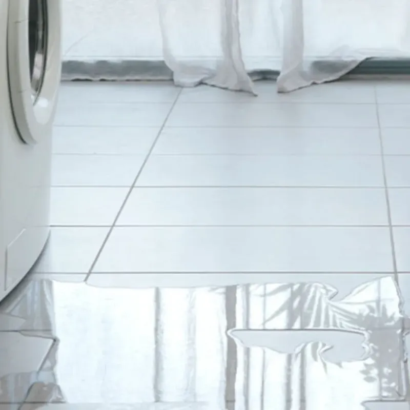 Appliance Leak Cleanup in Helena, GA