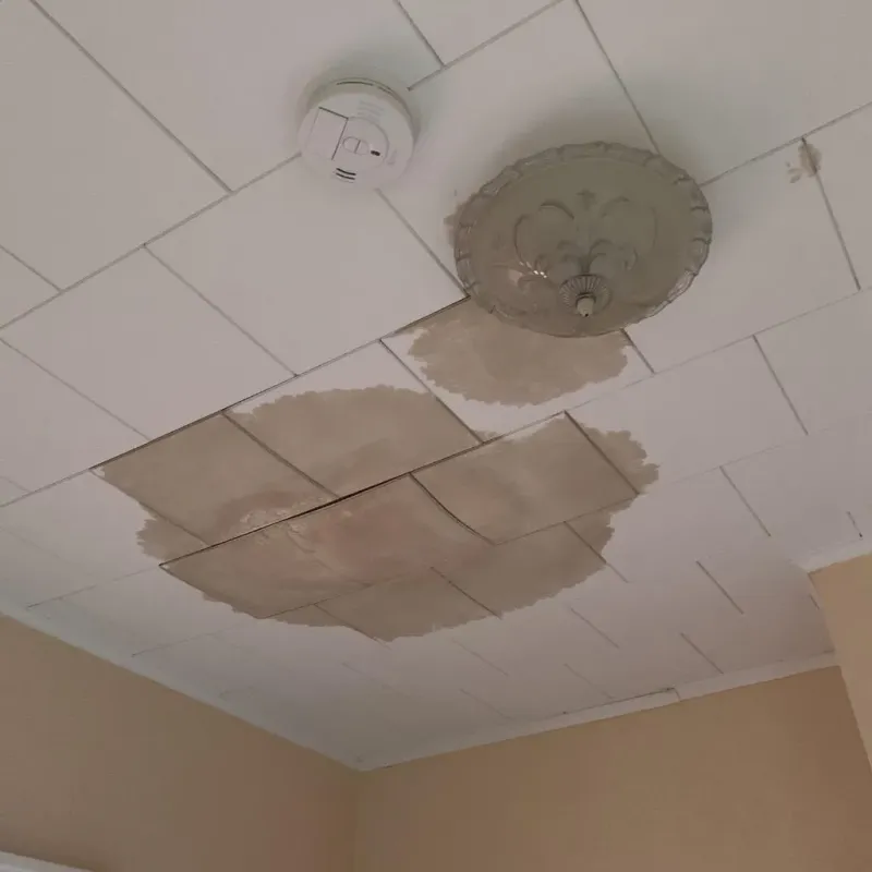 Ceiling Water Damage Repair in Helena, GA