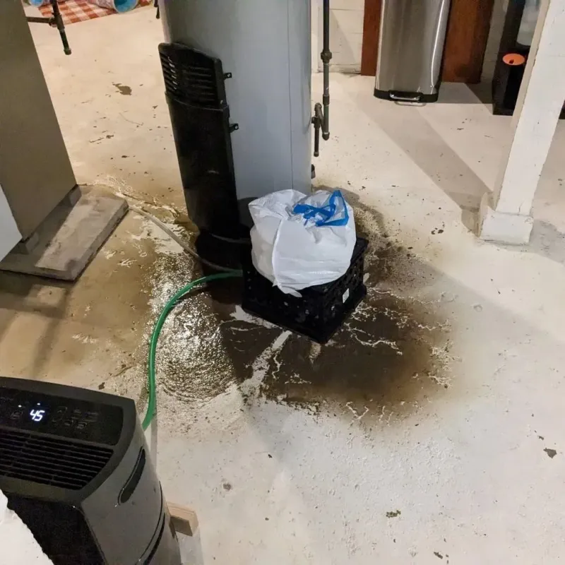 Sewage Backup Cleanup Service in Helena, GA